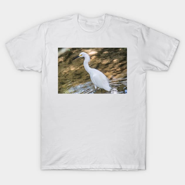 Reflections of Snowy Egret T-Shirt by KensLensDesigns